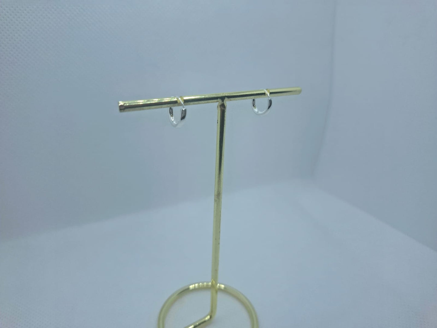 Earring: 2mm Sleeper