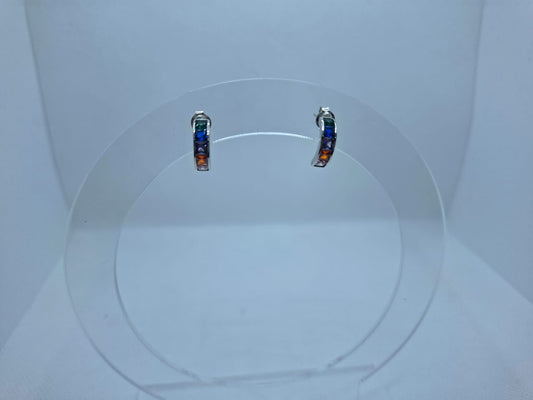 Earring: Multi Colour Stud