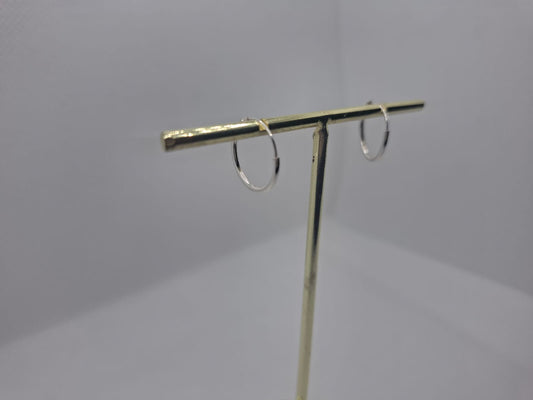 Earring: 16mm sleepers