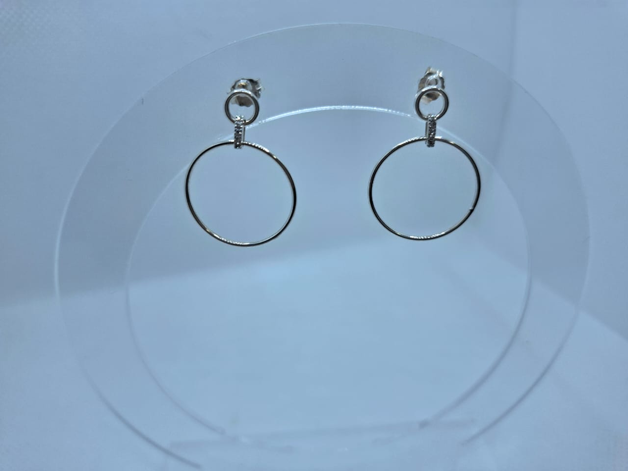 Earring: Big circle with Diamante detail Stud